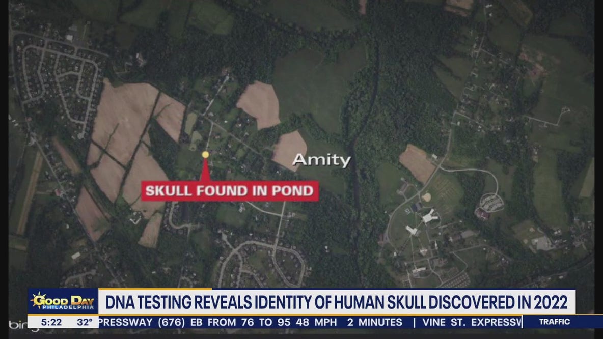 Identity of human skull discovered in 2022 revealed with DNA testing
